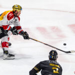 hockey sur glace ligue magnus j15 dragons de rouen gothiques amiens gazette sports theo begler 029