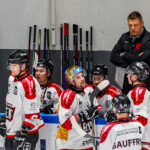 hockey sur glace ligue magnus j15 dragons de rouen gothiques amiens gazette sports theo begler 037