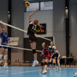 volleyball lamvb n2f vs marcq en baroeul gazettesports reynald valleron (32)