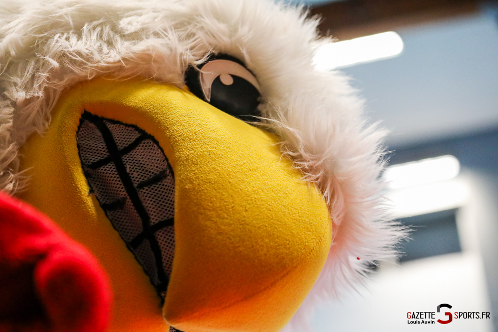 volleyball elite amvb harnes louisauvin 030