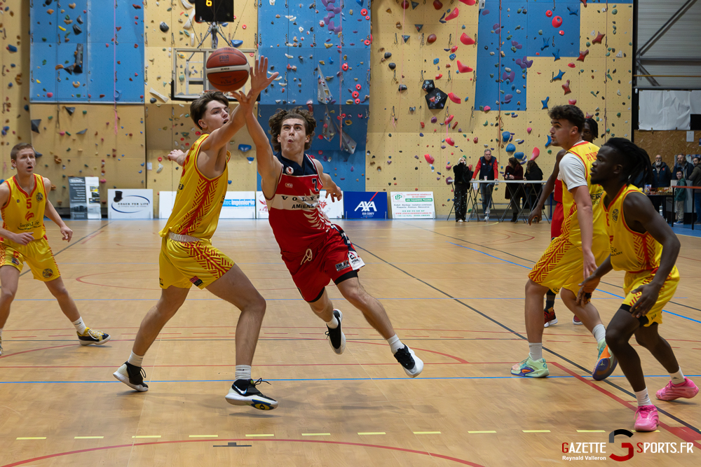 basketball pre national m j10 ascbb vs neuville en ferrain pp gazettesports reynald valleron (68)