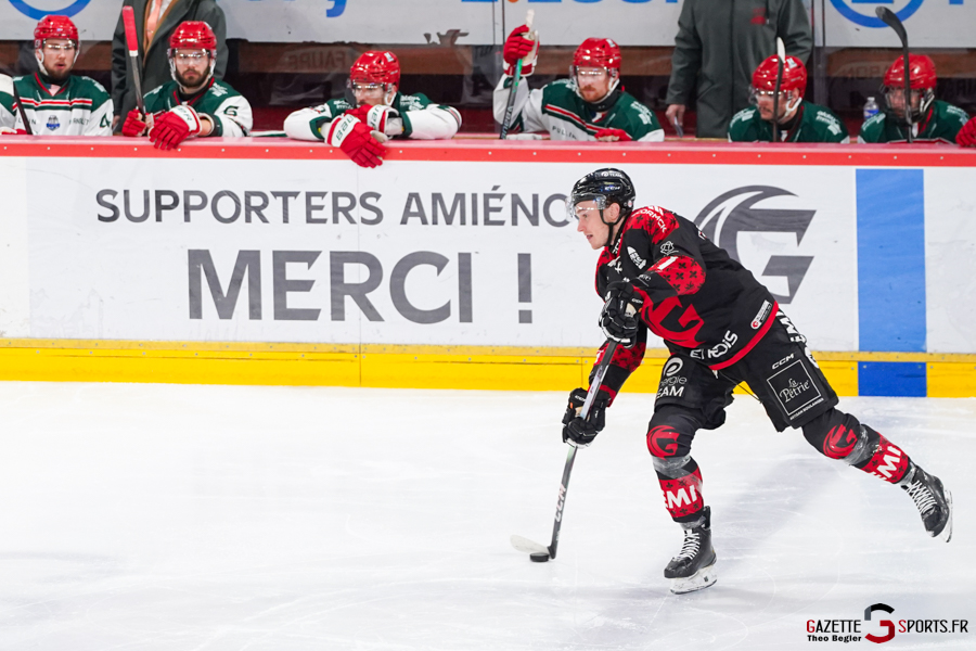 gothiques d’amiens v l’hormadi d’anglet ligue magnus journée 29 coliseum amiens