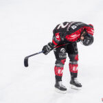 gothiques d’amiens v l’hormadi d’anglet ligue magnus journée 29 coliseum amiens