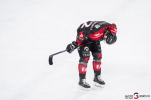 gothiques d’amiens v l’hormadi d’anglet ligue magnus journée 29 coliseum amiens