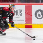 gothiques d’amiens v l’hormadi d’anglet ligue magnus journée 29 coliseum amiens