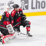 gothiques d’amiens v l’hormadi d’anglet ligue magnus journée 29 coliseum amiens