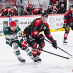 gothiques d’amiens v l’hormadi d’anglet ligue magnus journée 29 coliseum amiens