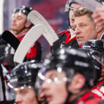 gothiques d’amiens v l’hormadi d’anglet ligue magnus journée 29 coliseum amiens