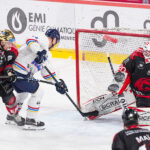 gothiques d’amiens v aigles de nice ligue magnus journée 33 amiens