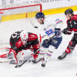 gothiques d’amiens v aigles de nice ligue magnus journée 33 amiens