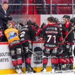 gothiques d’amiens v aigles de nice ligue magnus journée 33 amiens