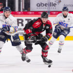 gothiques d’amiens v aigles de nice ligue magnus journée 33 amiens