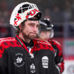 gothiques d’amiens v aigles de nice ligue magnus journée 33 amiens
