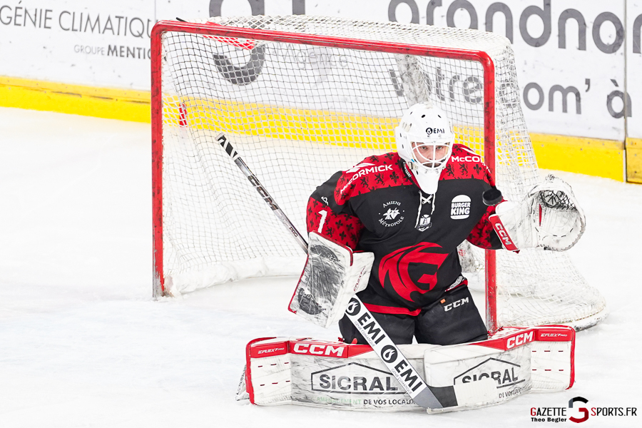 gothiques d’amiens v rapaces de gap ligue magnus journée 36 amiens