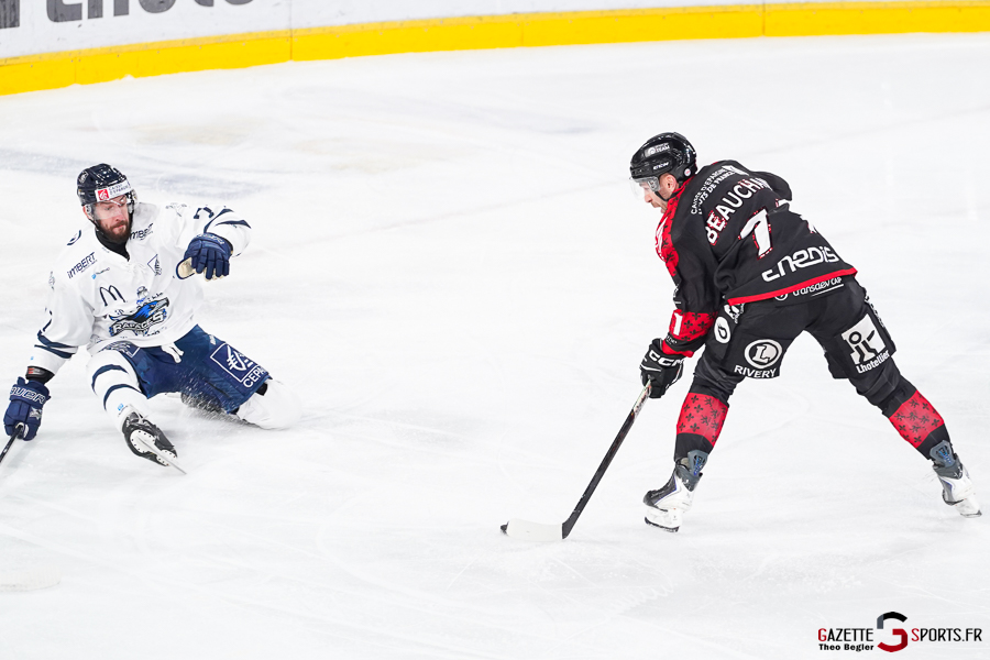 gothiques d’amiens v rapaces de gap ligue magnus journée 36 amiens