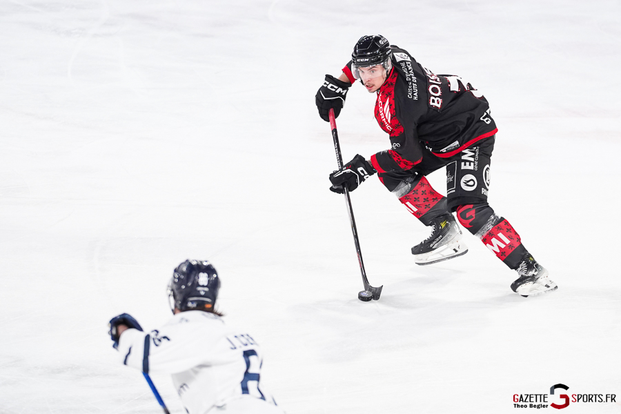 gothiques d’amiens v rapaces de gap ligue magnus journée 36 amiens