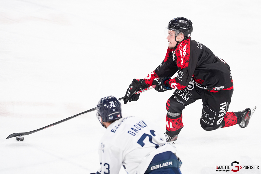 gothiques d’amiens v rapaces de gap ligue magnus journée 36 amiens