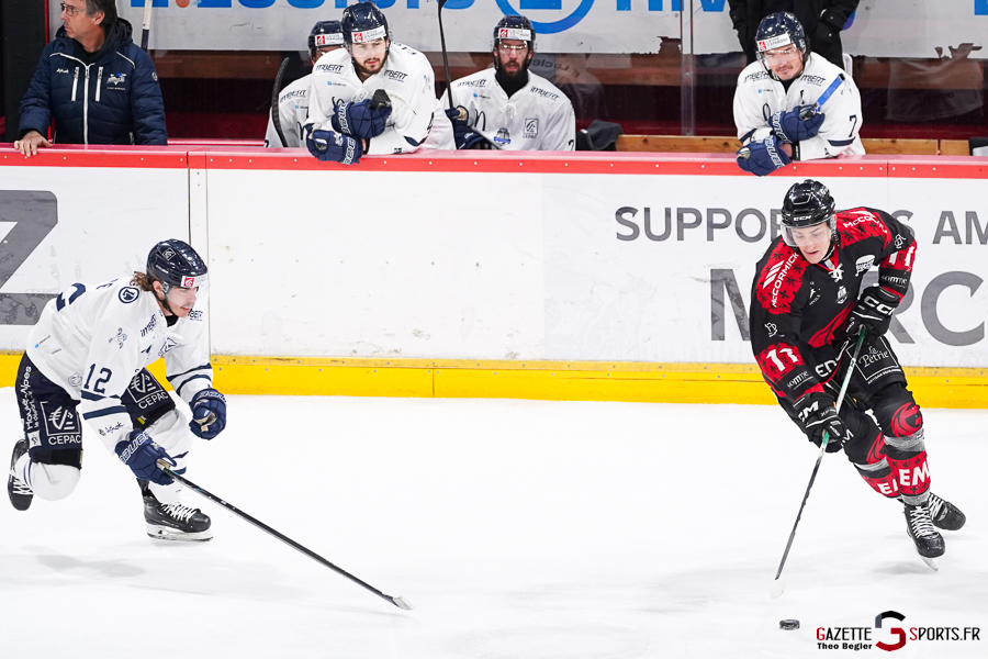 gothiques d’amiens v rapaces de gap ligue magnus journée 36 amiens