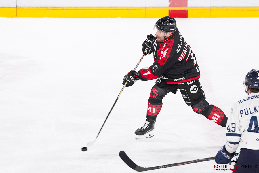 gothiques d’amiens v rapaces de gap ligue magnus journée 36 amiens
