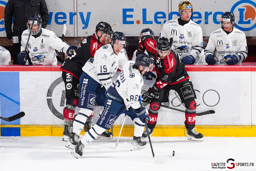 gothiques d’amiens v rapaces de gap ligue magnus journée 36 amiens