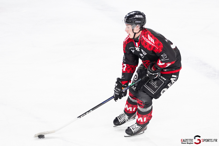gothiques d’amiens v rapaces de gap ligue magnus journée 36 amiens