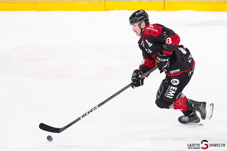 gothiques d’amiens v rapaces de gap ligue magnus journée 36 amiens