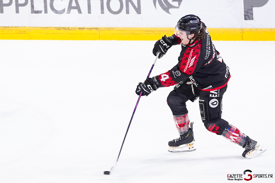 gothiques d’amiens v rapaces de gap ligue magnus journée 36 amiens