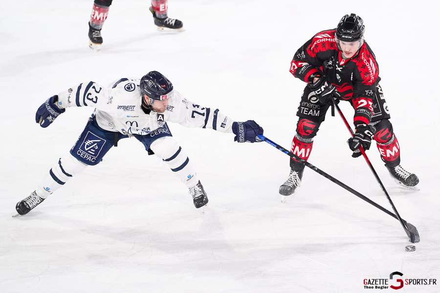 gothiques d’amiens v rapaces de gap ligue magnus journée 36 amiens