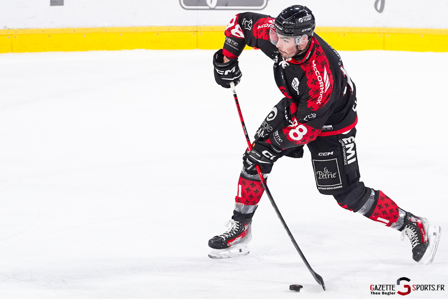 gothiques d’amiens v rapaces de gap ligue magnus journée 36 amiens