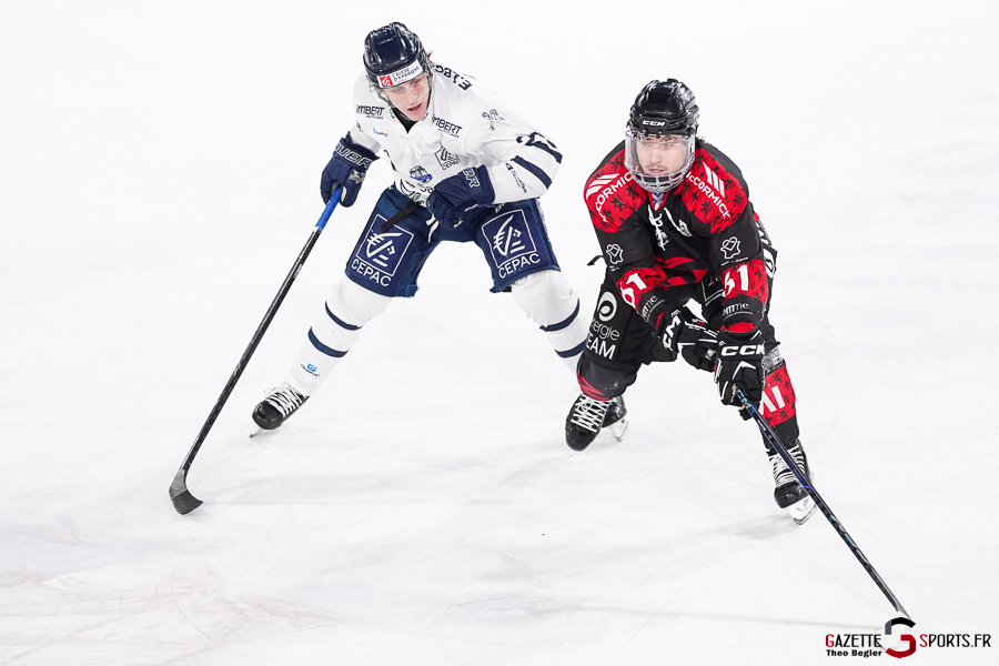 gothiques d’amiens v rapaces de gap ligue magnus journée 36 amiens
