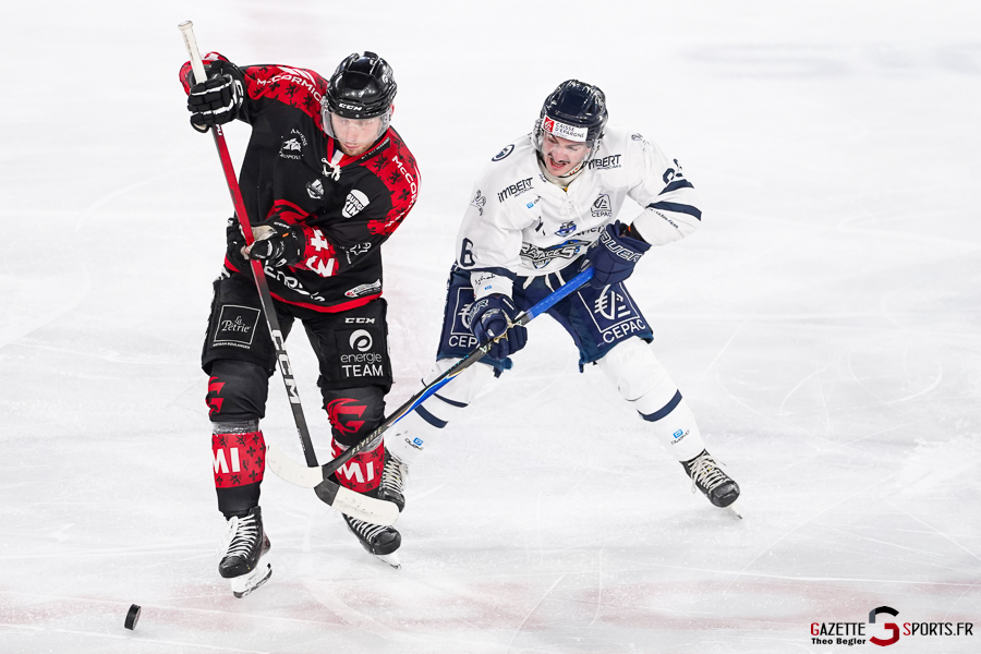 gothiques d’amiens v rapaces de gap ligue magnus journée 36 amiens