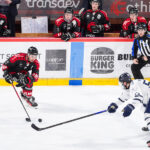 gothiques d’amiens v rapaces de gap ligue magnus journée 36 amiens