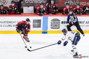 gothiques d’amiens v rapaces de gap ligue magnus journée 36 amiens