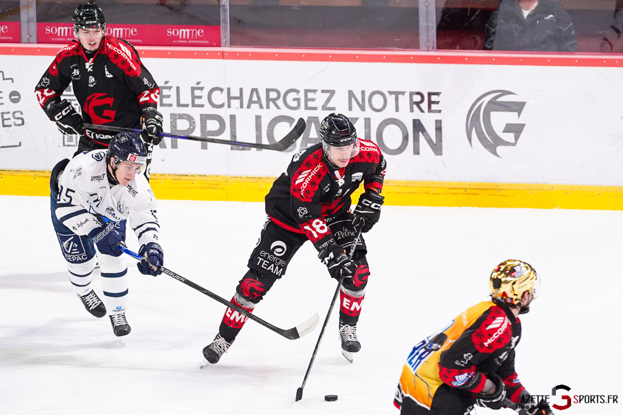 gothiques d’amiens v rapaces de gap ligue magnus journée 36 amiens