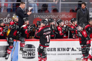 gothiques d’amiens v rapaces de gap ligue magnus journée 36 amiens