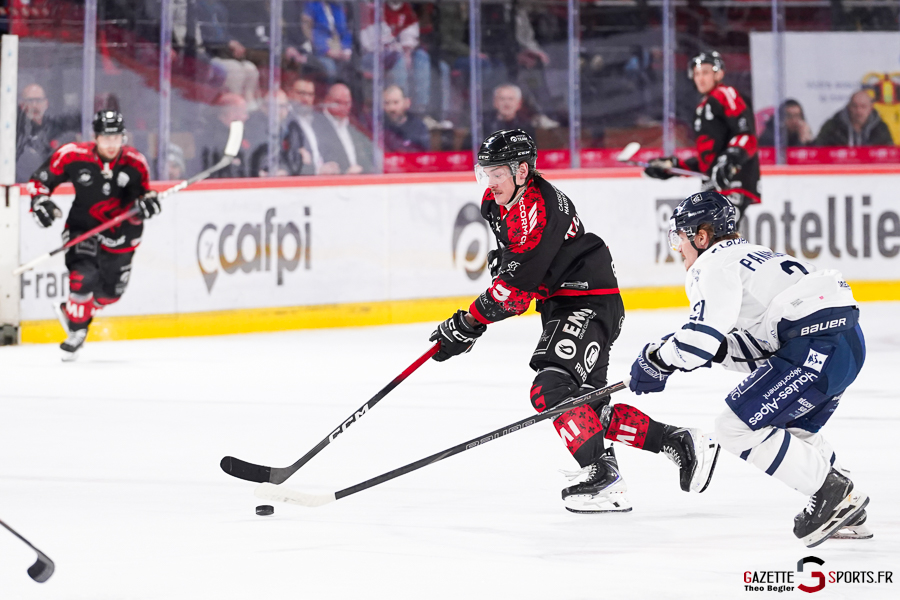 gothiques d’amiens v rapaces de gap ligue magnus journée 36 amiens