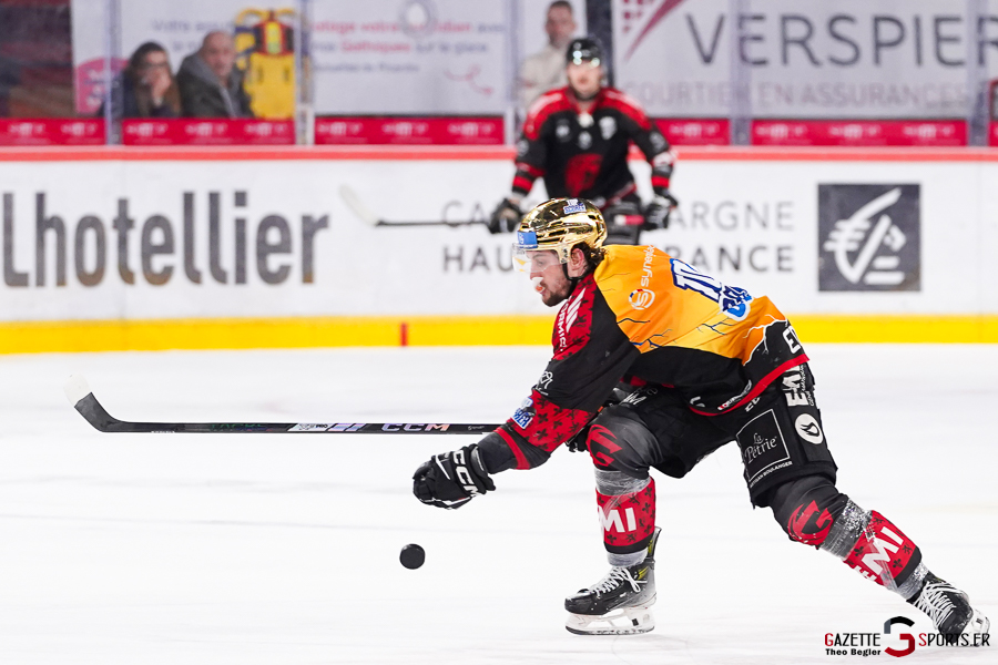 gothiques d’amiens v rapaces de gap ligue magnus journée 36 amiens