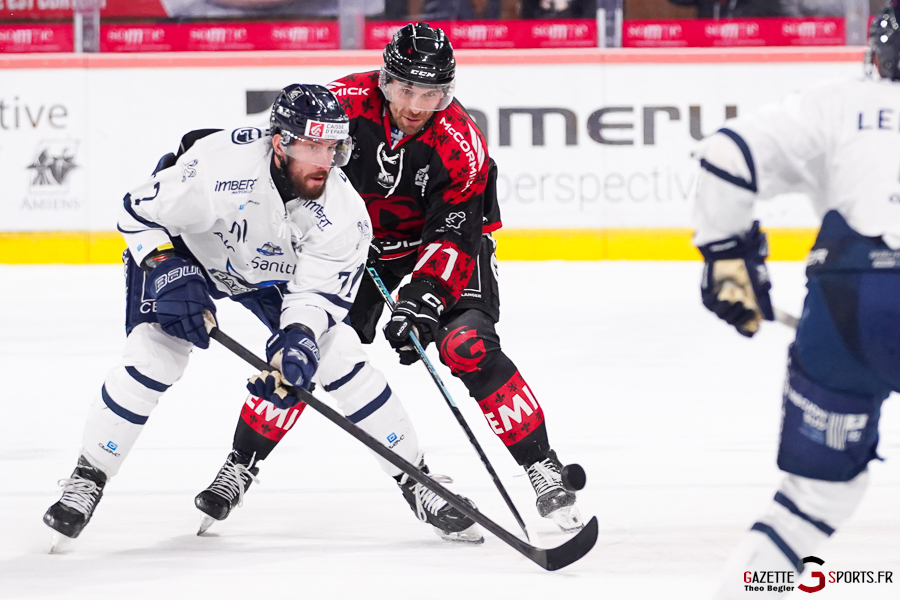 gothiques d’amiens v rapaces de gap ligue magnus journée 36 amiens