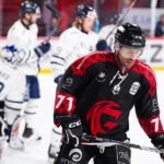 gothiques d’amiens v rapaces de gap ligue magnus journée 36 amiens