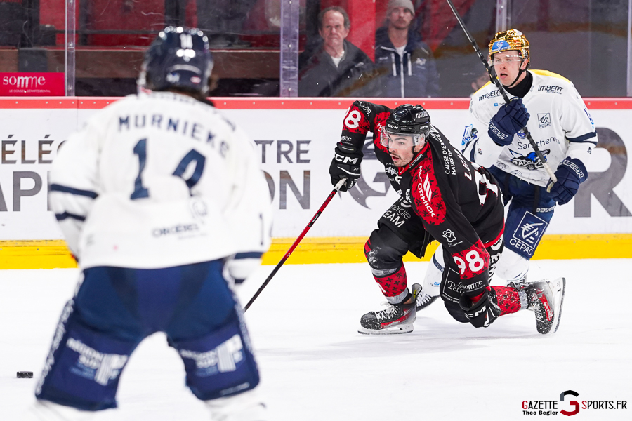 gothiques d’amiens v rapaces de gap ligue magnus journée 36 amiens