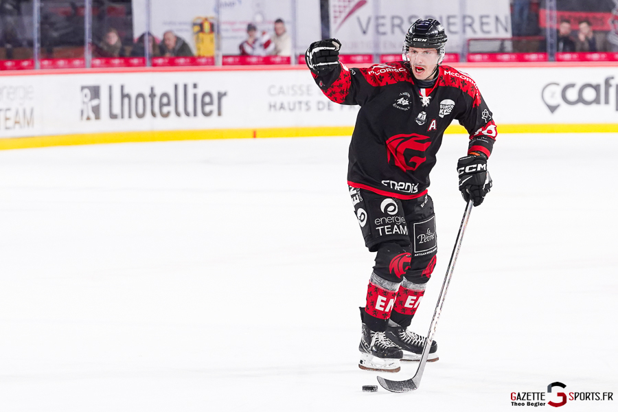 gothiques d’amiens v rapaces de gap ligue magnus journée 36 amiens