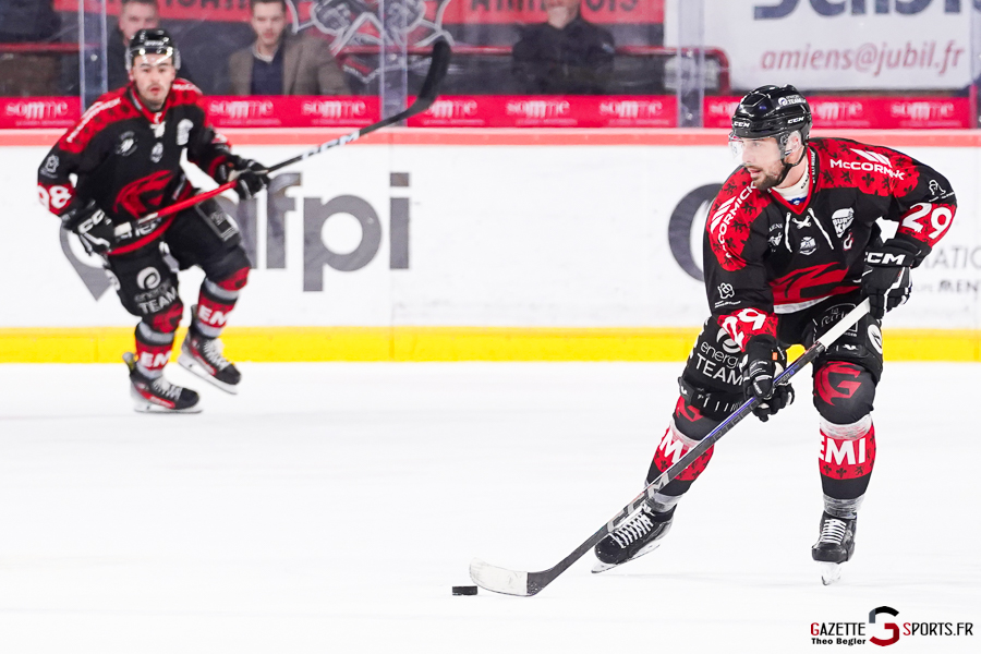 gothiques d’amiens v rapaces de gap ligue magnus journée 36 amiens