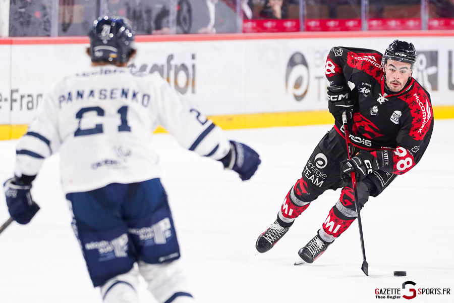 gothiques d’amiens v rapaces de gap ligue magnus journée 36 amiens