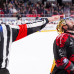 gothiques d’amiens v rapaces de gap ligue magnus journée 36 amiens