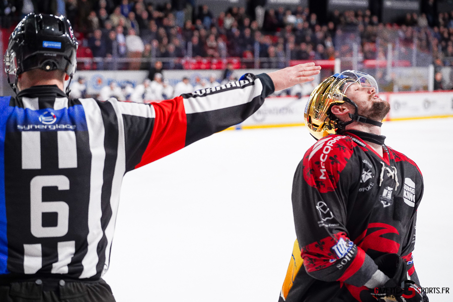 gothiques d’amiens v rapaces de gap ligue magnus journée 36 amiens