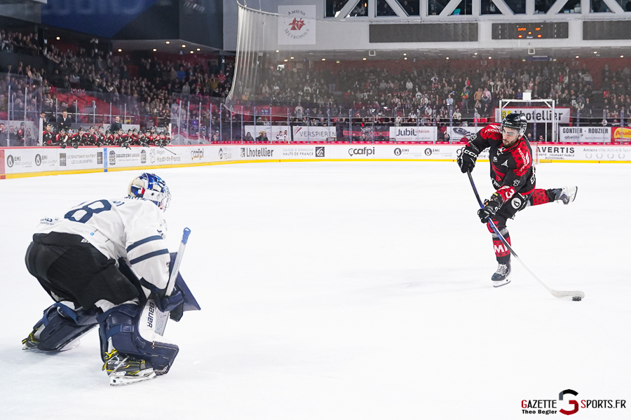 gothiques d’amiens v rapaces de gap ligue magnus journée 36 amiens