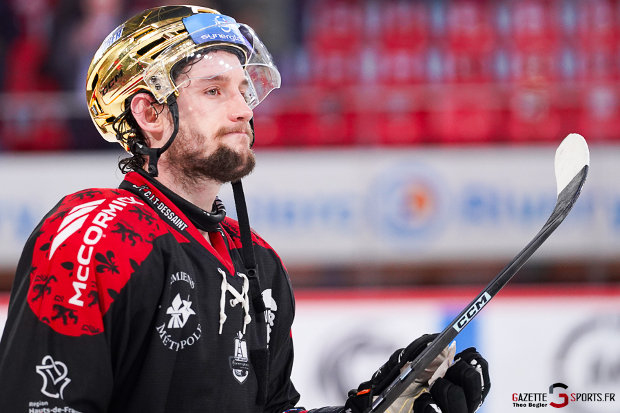 gothiques d’amiens v rapaces de gap ligue magnus journée 36 amiens