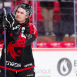 gothiques d’amiens v rapaces de gap ligue magnus journée 36 amiens