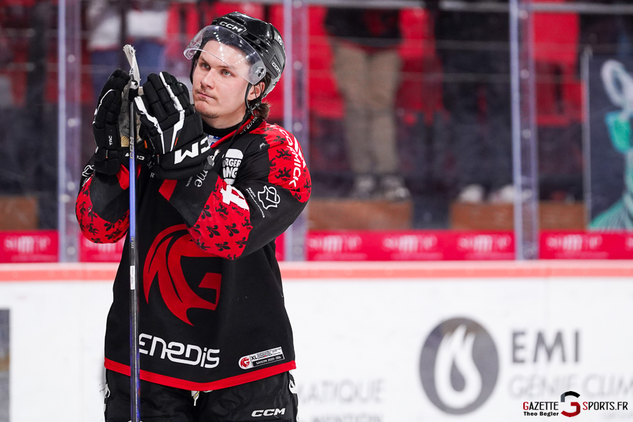 gothiques d’amiens v rapaces de gap ligue magnus journée 36 amiens