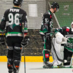 green falcons de pont de metz v hawks d’angers Élite journée 10 pont de metz